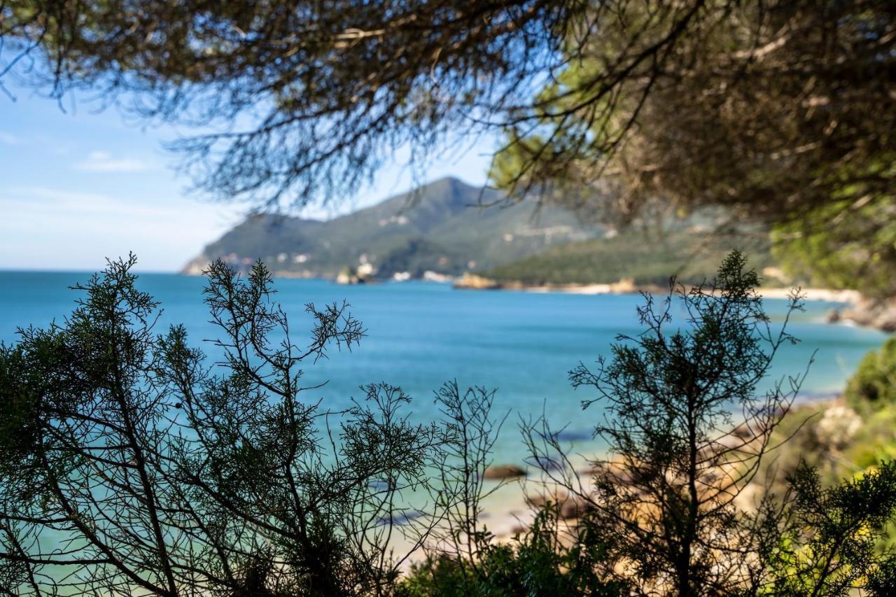 パルメラ Arrabida Cozy Houseヴィラ エクステリア 写真