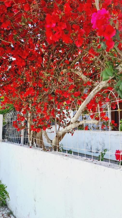 パルメラ Arrabida Cozy Houseヴィラ エクステリア 写真